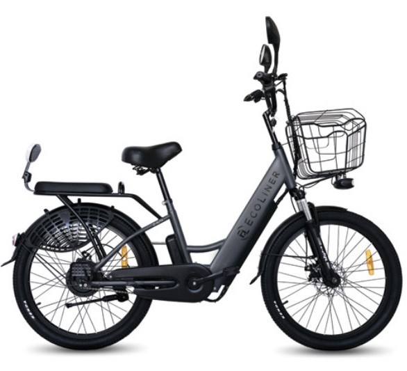 Электровелосипед Ecoliner e-Alfa 24 53615