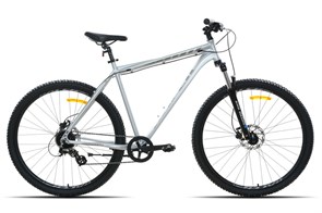 Велосипед Racer Expert 29 серебристый глянец 2025 рост 22 53783