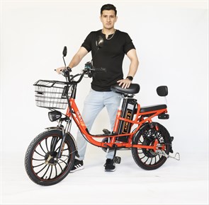 Электровелосипед Favorit Weekend-20, WKD206015BK 00-00019196